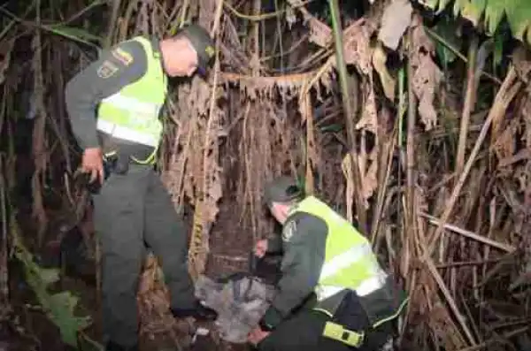 Newborn Baby Found Covered by Ants at a Rubbish Dump After Being Abandoned by Mother (Photos)